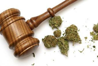 State Marijuana Laws