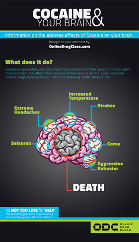 Cocaine And
    Your Brain